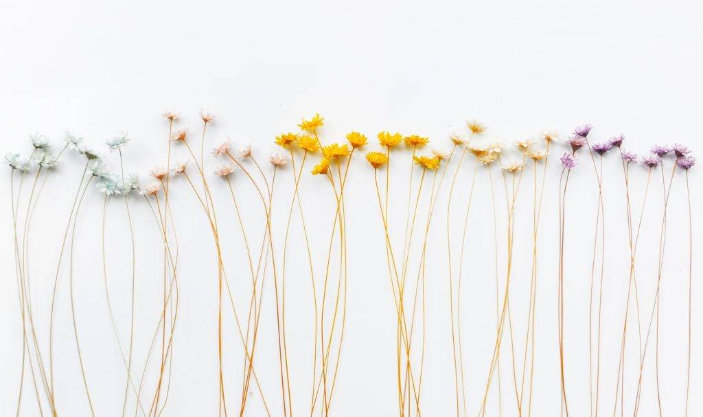 Docker部署onlyoffice document server